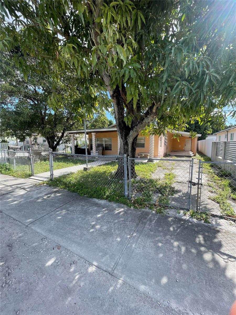 3630 Northwest 98th Street Miami, FL 33147 - Photo 5 of 38 a view of a yard with plants and trees