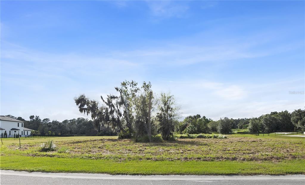 15323 Fishhawk Heights Road Lithia, FL 33547 - Photo 3 of 14