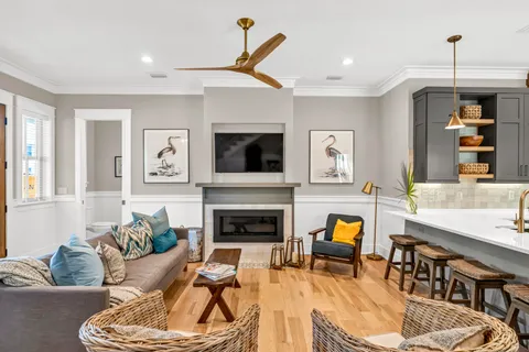 a living room with furniture or couch and a fireplace