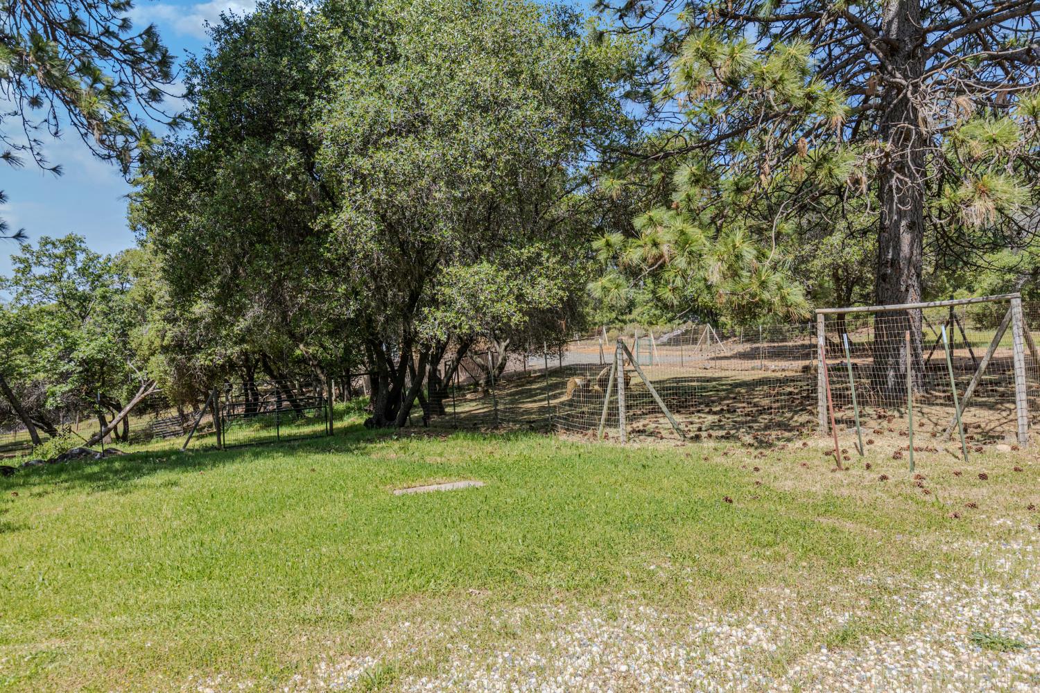 3120 Iron Mine Road Auburn, CA 95602 - Photo 17 of 38 a view of outdoor space with deck and yard