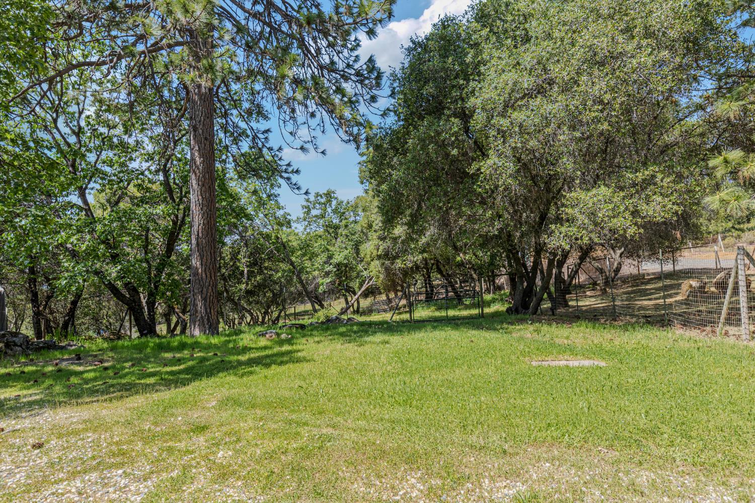 3120 Iron Mine Road Auburn, CA 95602 - Photo 18 of 38 a backyard of a house with lots of green space