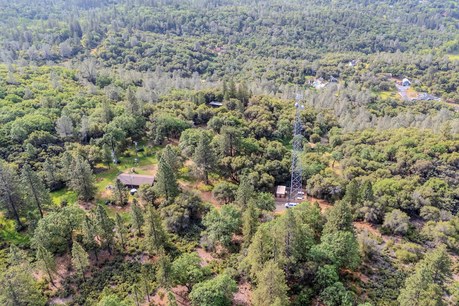3120 Iron Mine Road Auburn, CA 95602 - Photo 21 of 38 a view of a forest with a houses