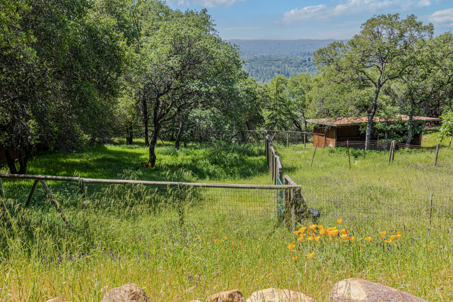 3120 Iron Mine Road Auburn, CA 95602 - Photo 22 of 38 a backyard of a house with lots of green space and plants