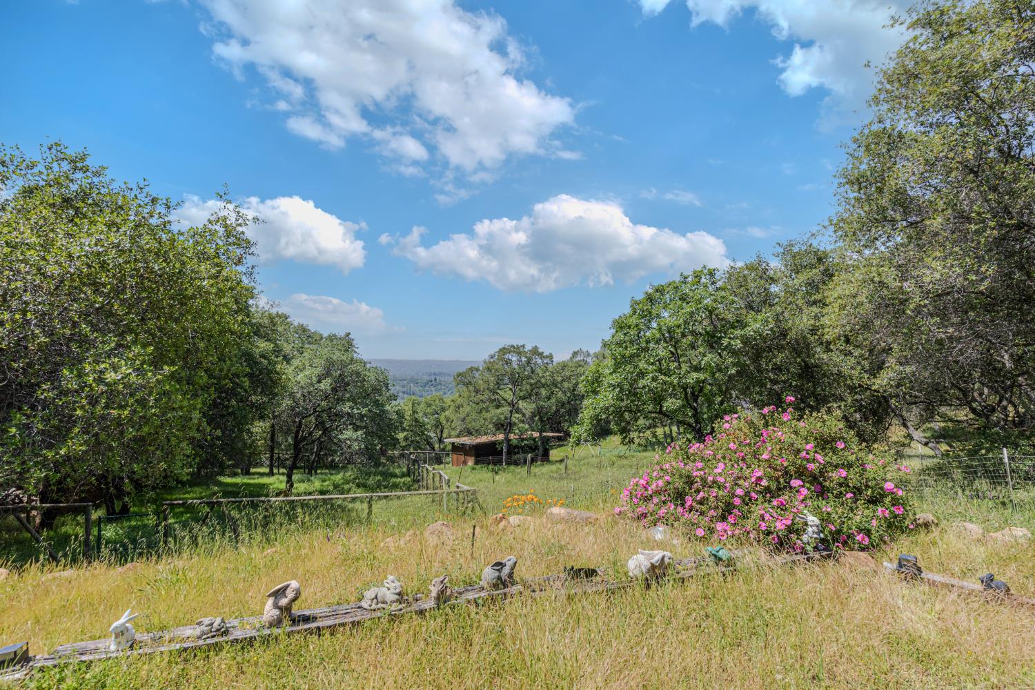 3120 Iron Mine Road Auburn, CA 95602 - Photo 31 of 38