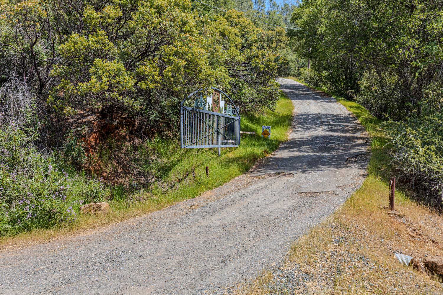 3120 Iron Mine Road Auburn, CA 95602 - Photo 38 of 38 a view of a yard with plants and trees