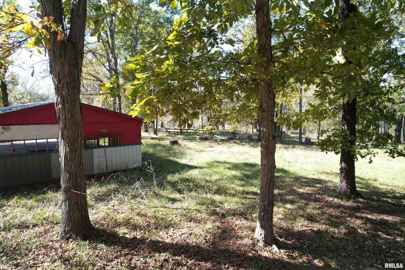 0 Lusk Road Golconda, IL 62938 - Photo 10 of 10 a view of a yard with large trees