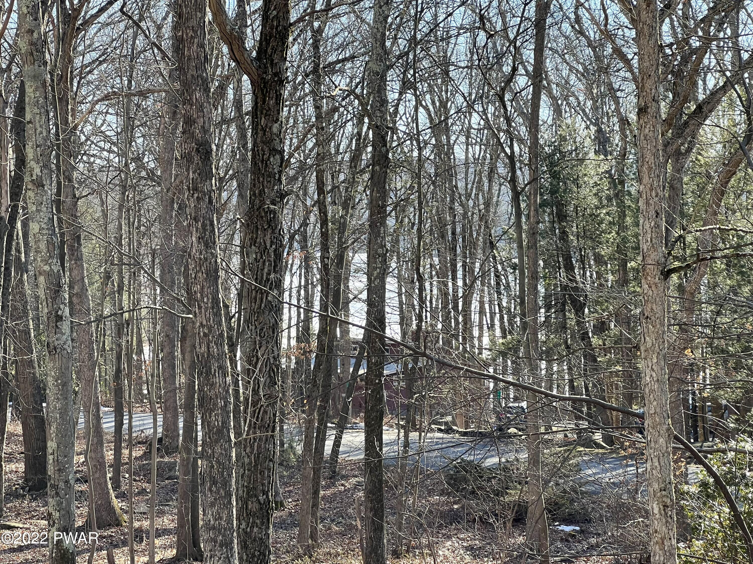 109 Lakeview Terrace Hawley, PA 18428 - Photo 23 of 40