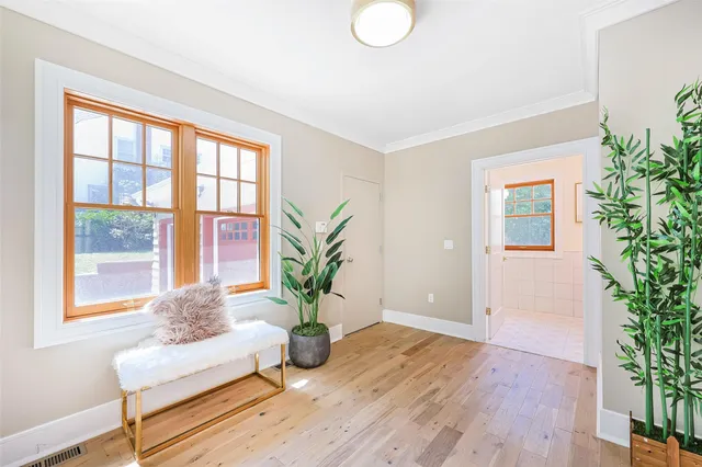 a living room with furniture and a potted plant