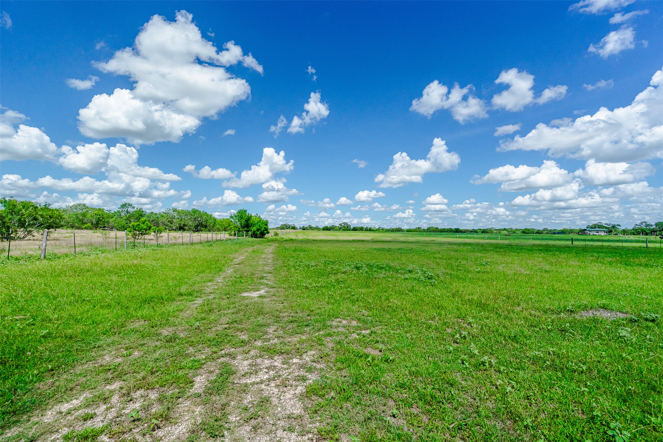 3109 Tenney Creek Road Dale, TX 78616 - Photo 17 of 23 Cleared and ready to be built on.