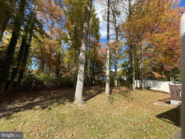 a view of a yard with trees