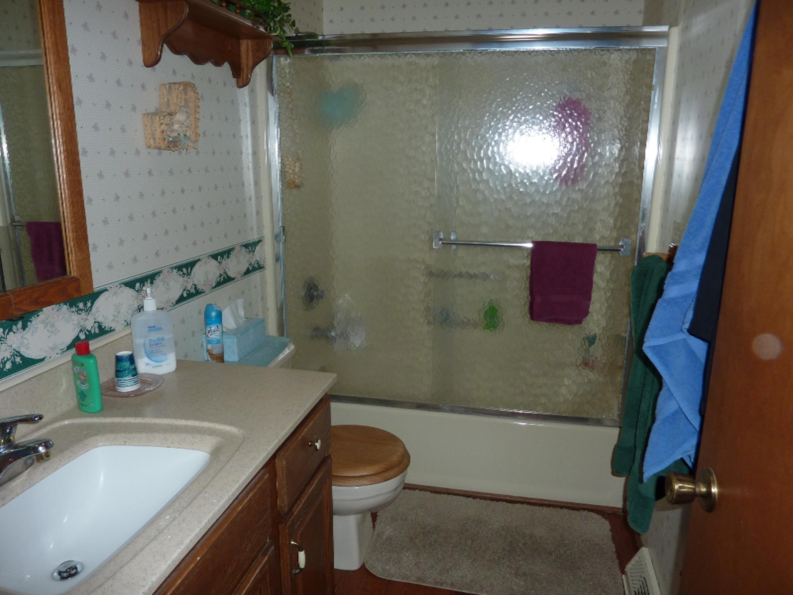 8142 South Youngman Road Greenville, MI 48838 - Photo 13 of 15 P1030340
