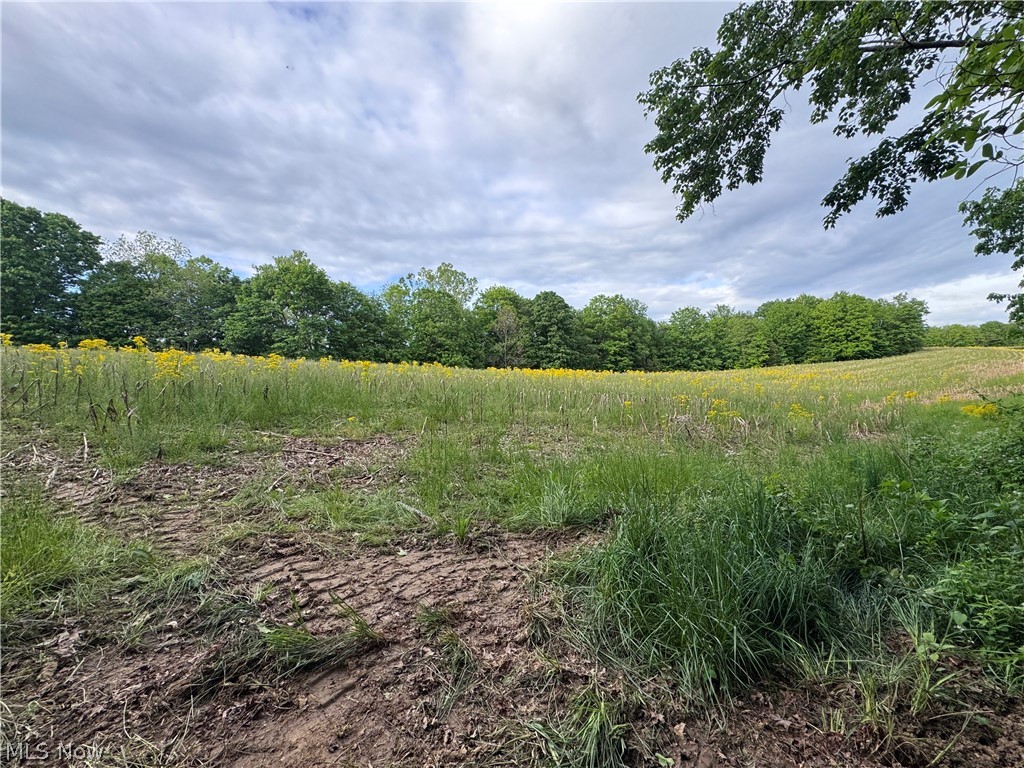 Hill Road, Unit 10 Waterford, OH 45786 - Photo 8 of 13