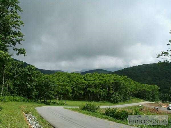 Lot 20 Boone Ridge Boone, NC 28607 - Photo 1 of 1 a view of a field with grass and trees