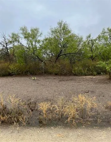 $100,000 | 540 Highway 16, Goldthwaite, TX 76844