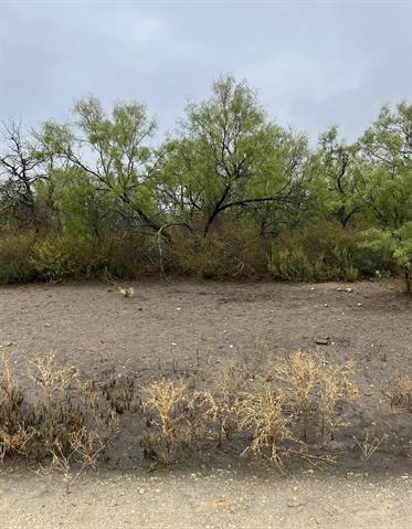 540 Highway 16 Goldthwaite, TX 76844 - Photo 11 of 13