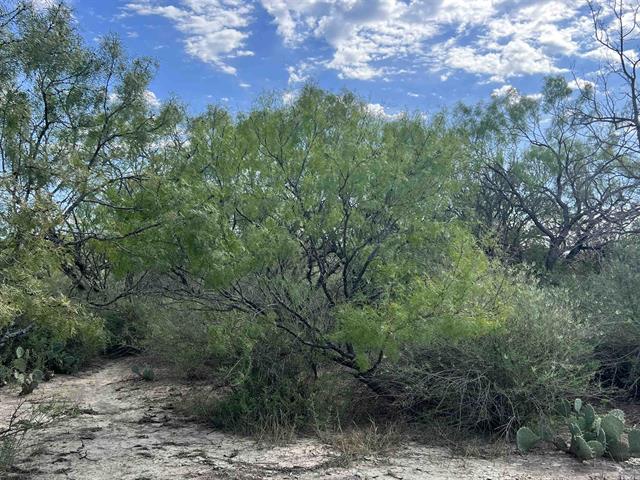 540 Highway 16 Goldthwaite, TX 76844 - Photo 13 of 13