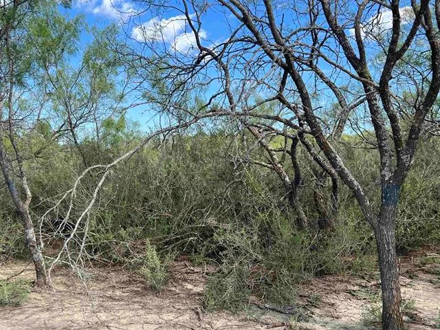 $100,000 | 540 Highway 16, Goldthwaite, TX 76844