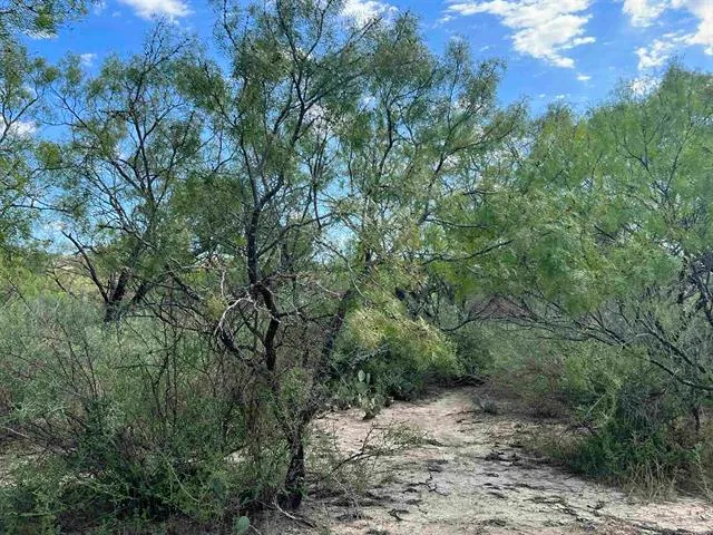 $100,000 | 540 Highway 16, Goldthwaite, TX 76844