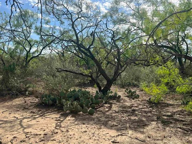 $100,000 | 540 Highway 16, Goldthwaite, TX 76844