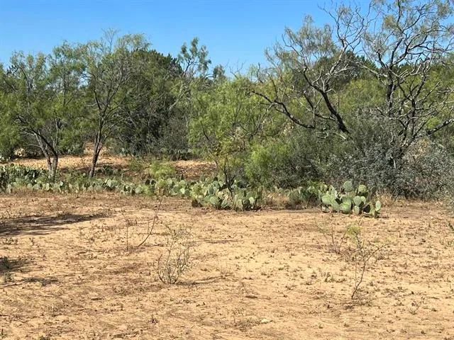 $100,000 | 540 Highway 16, Goldthwaite, TX 76844