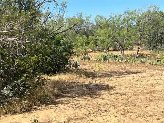 $100,000 | 540 Highway 16, Goldthwaite, TX 76844