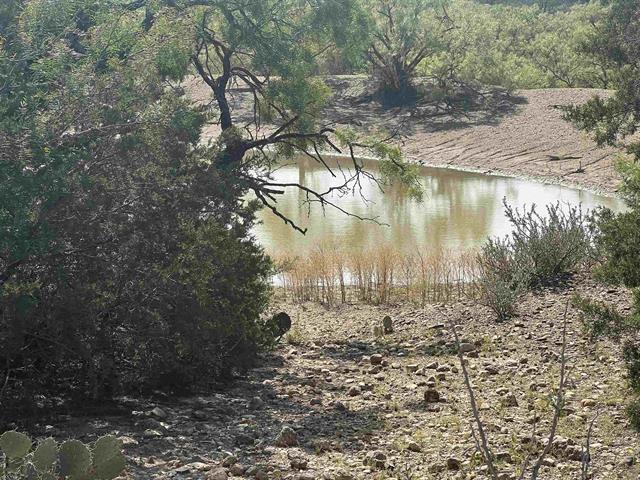 540 Highway 16 Goldthwaite, TX 76844 - Photo 7 of 13