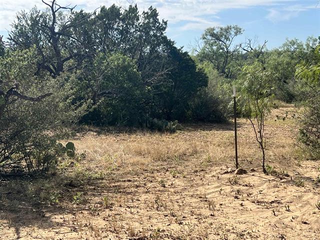 540 Highway 16 Goldthwaite, TX 76844 - Photo 8 of 13