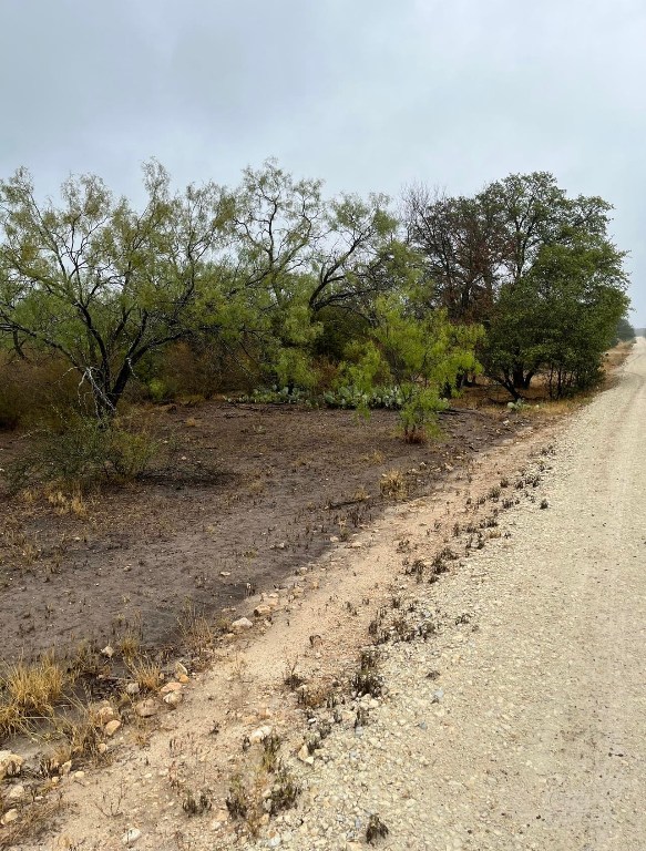 540 Highway 16 Goldthwaite, TX 76844 - Photo 10 of 13