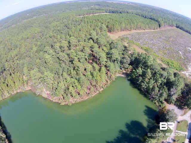 43 Shady Lane Clayton, AL 36016 - Photo 10 of 12