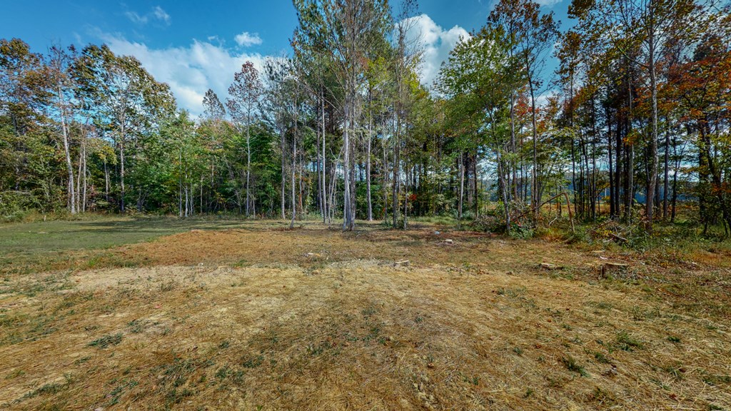 3058 Crow Road Northeast Dalton, GA 30721 - Photo 6 of 39