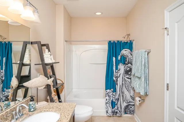 a view of a garden with plants