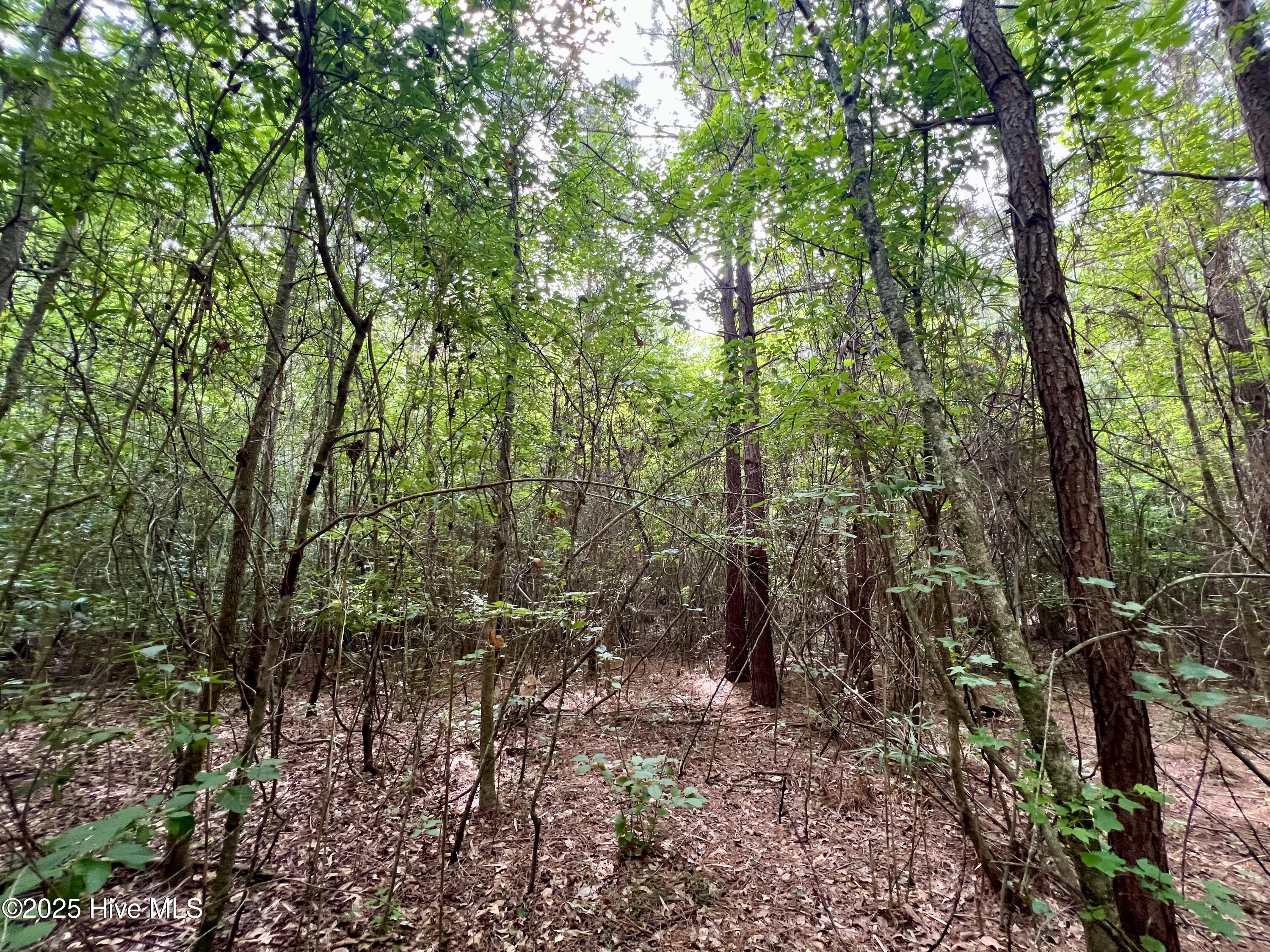 0 Boss Mclawhorn Road Grifton, NC 28530 - Photo 19 of 29 19