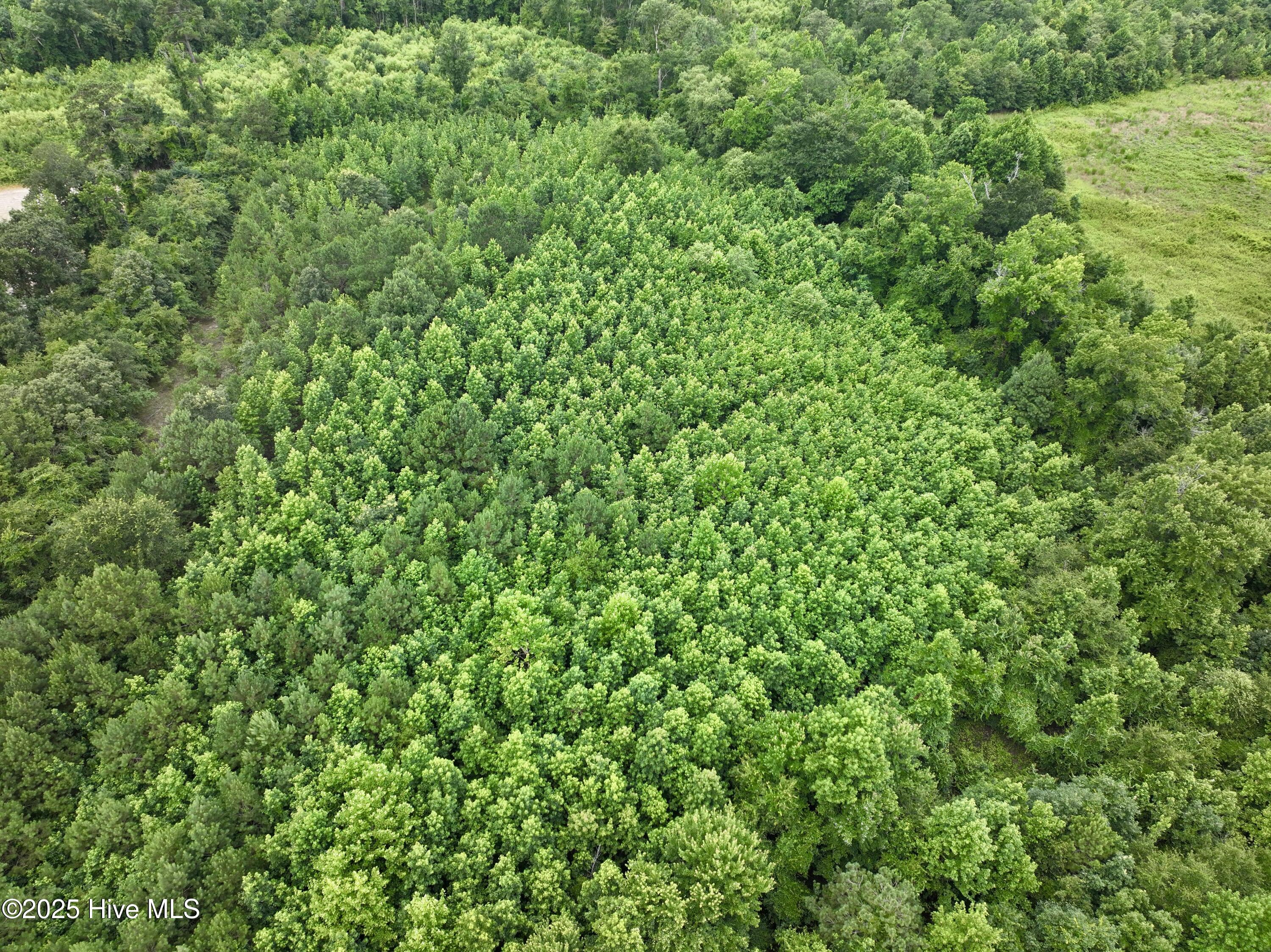 0 Boss Mclawhorn Road Grifton, NC 28530 - Photo 26 of 29 26
