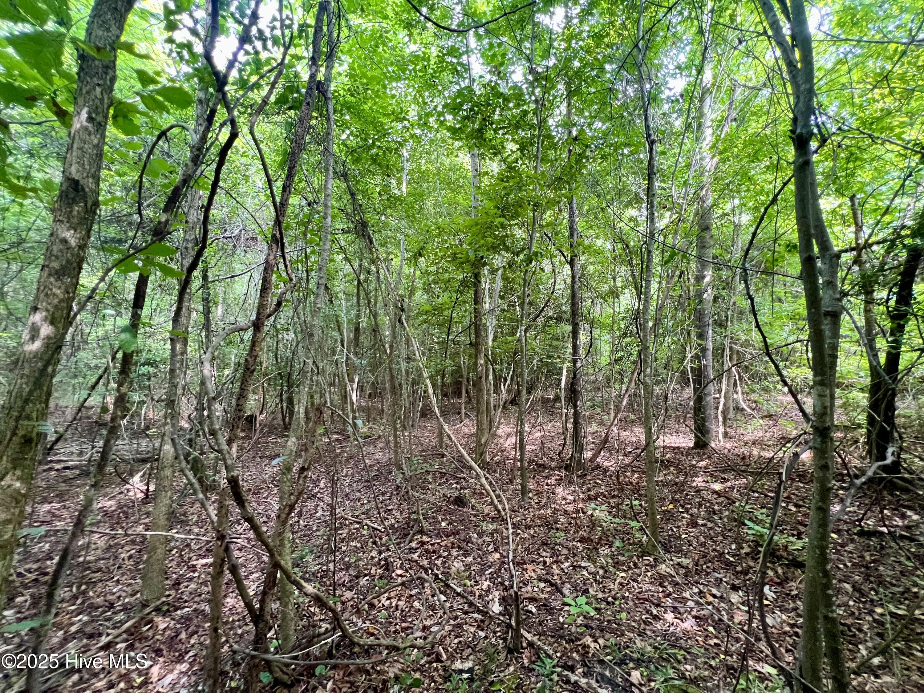 0 Boss Mclawhorn Road Grifton, NC 28530 - Photo 28 of 29 28