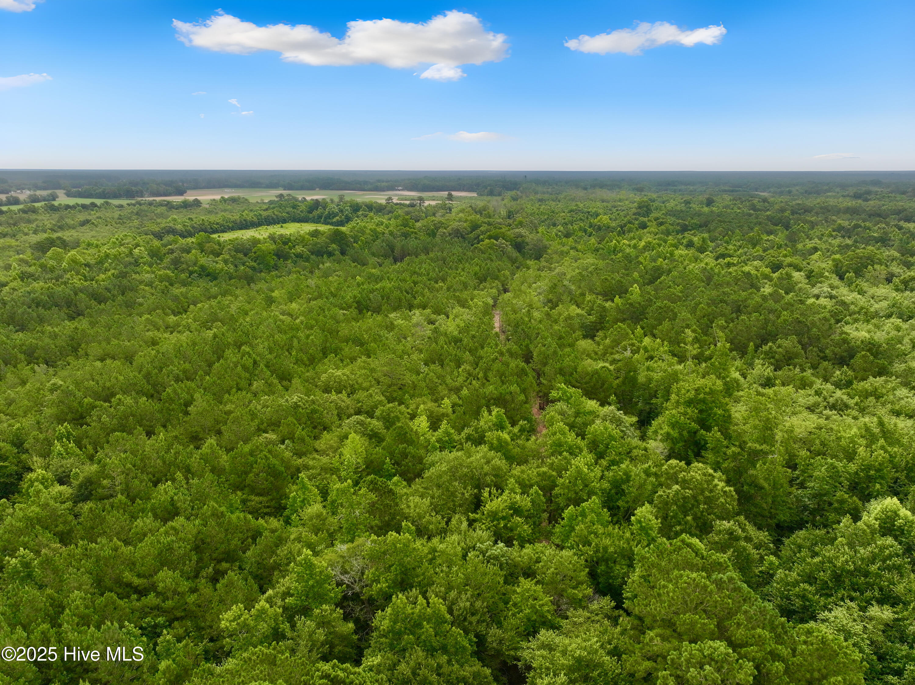 0 Boss Mclawhorn Road Grifton, NC 28530 - Photo 3 of 29 3