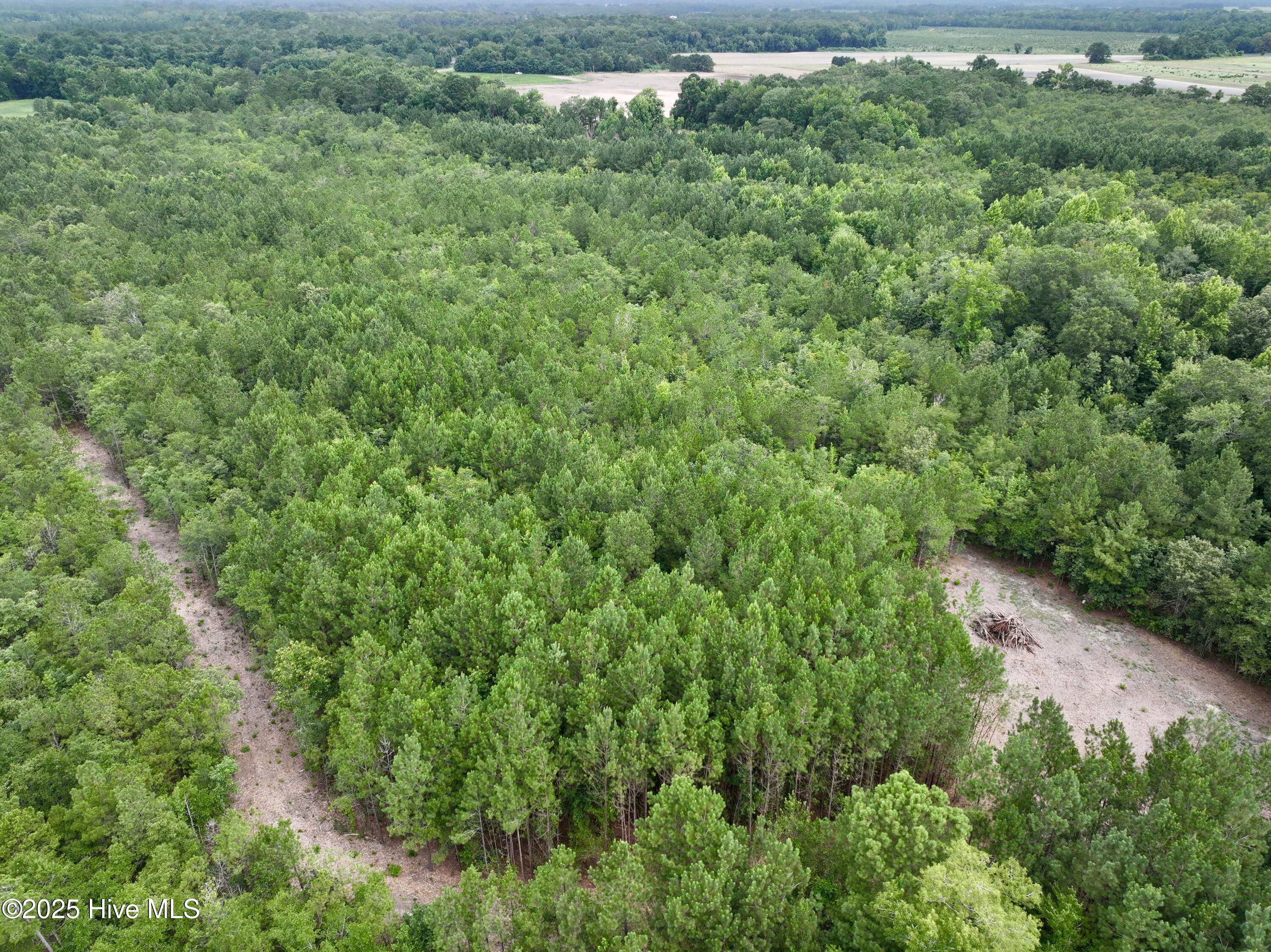 0 Boss Mclawhorn Road Grifton, NC 28530 - Photo 4 of 29 4