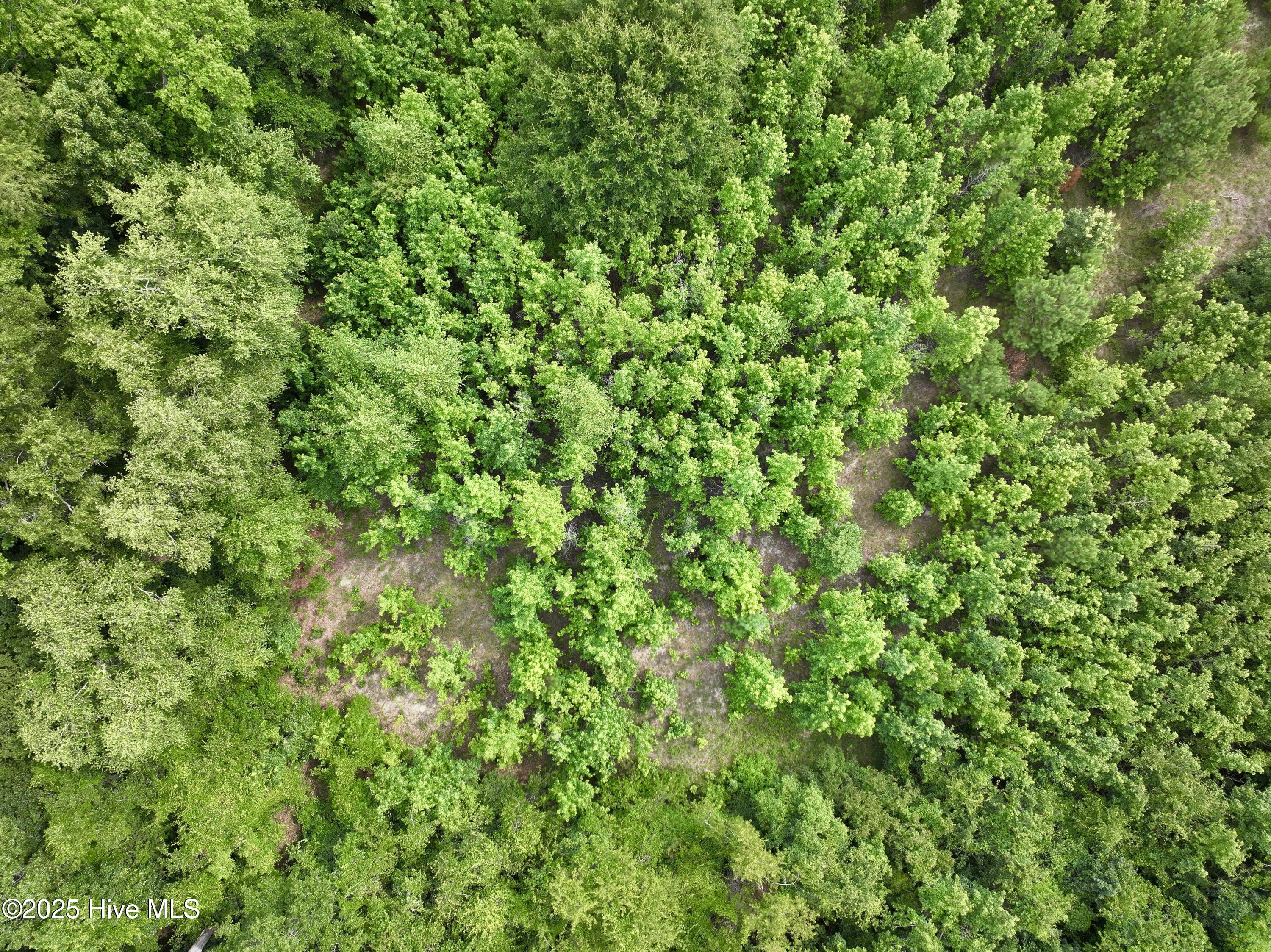 0 Boss Mclawhorn Road Grifton, NC 28530 - Photo 5 of 29 5