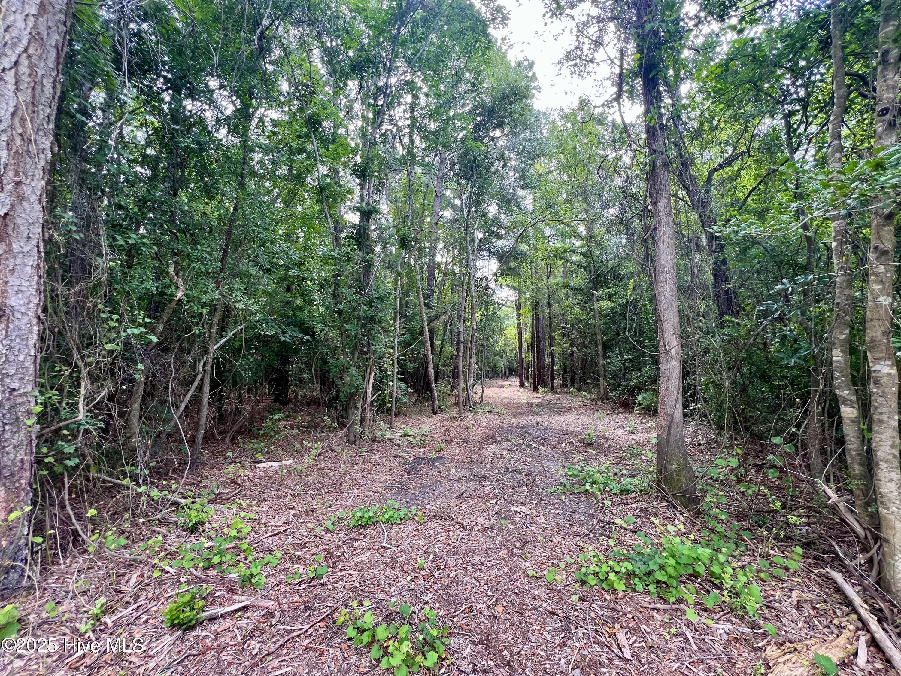 0 Boss Mclawhorn Road Grifton, NC 28530 - Photo 6 of 29 6