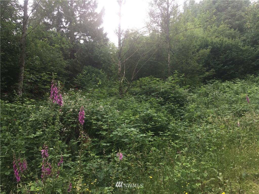 0 Southeast Edgewick Road North Bend, WA 98045 - Photo 10 of 10 Gallery Image 10