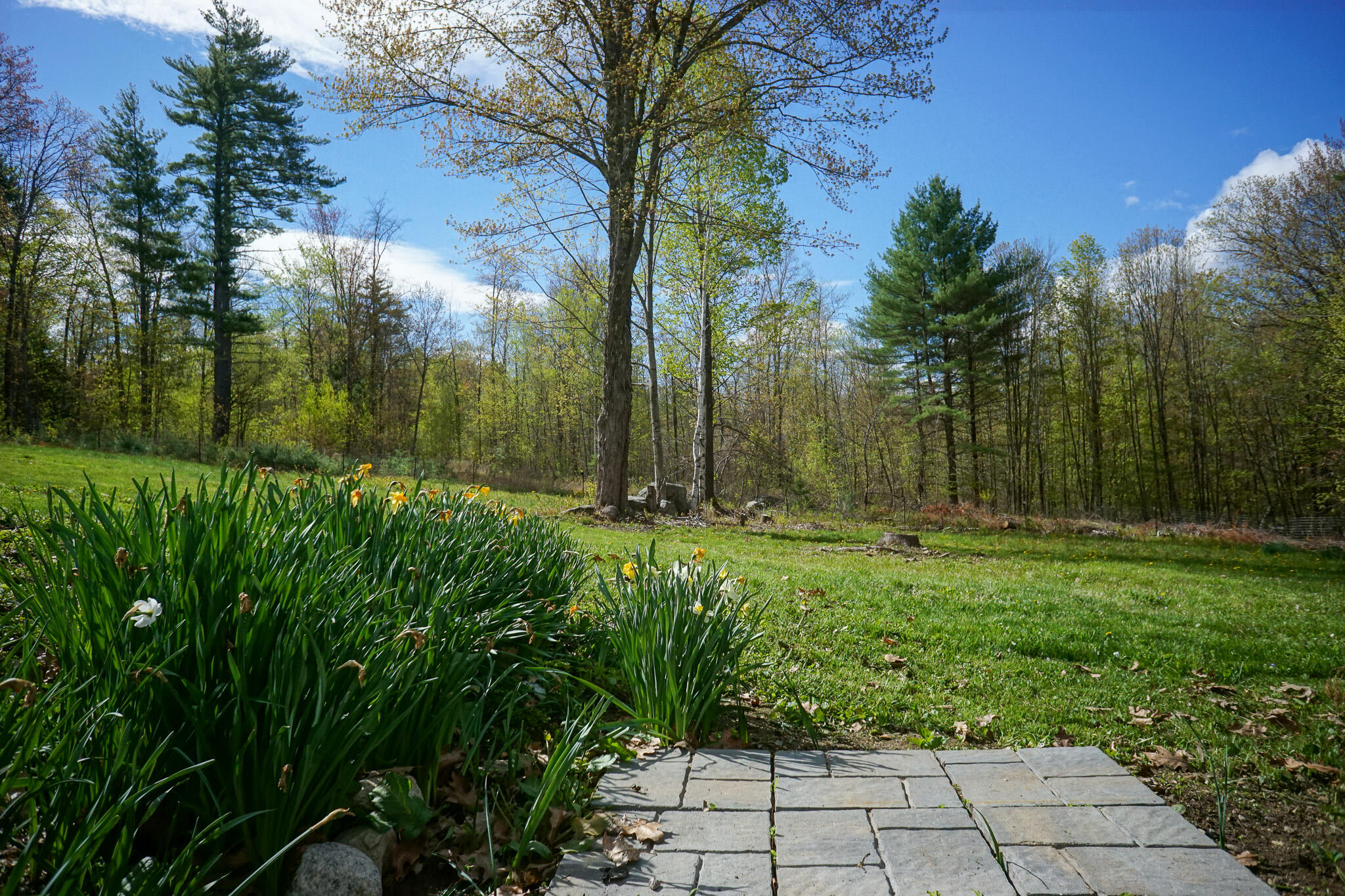 2475 Milton Mills Road Acton, ME 04001 - Photo 7 of 25