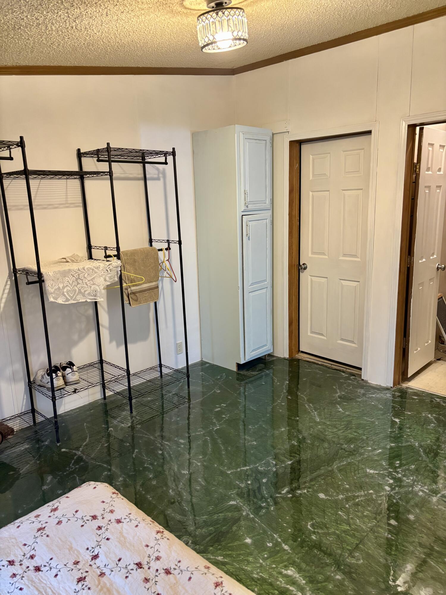 1518 East Tupper Lake Road Lake Odessa, MI 48849 - Photo 5 of 10 IMG_0541