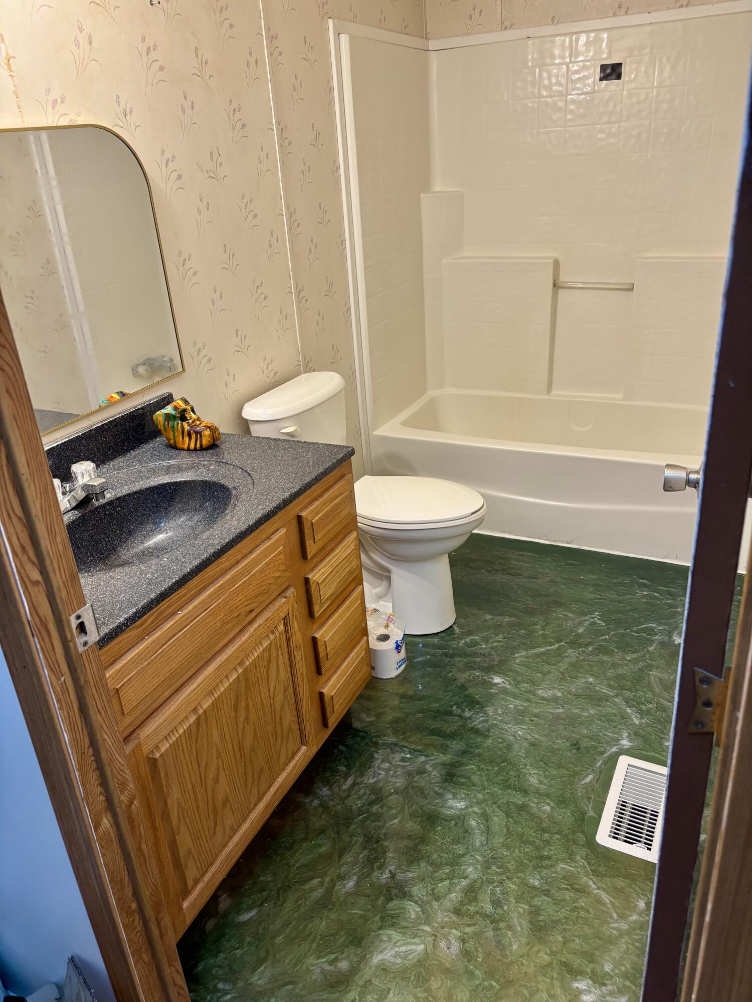 1518 East Tupper Lake Road Lake Odessa, MI 48849 - Photo 6 of 10 IMG_0536