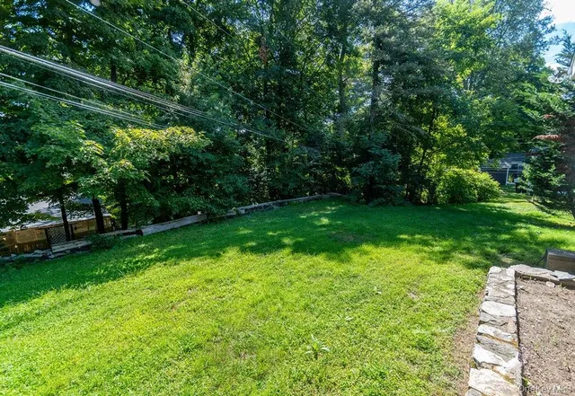 a view of a yard with a large trees