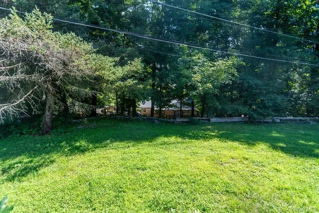 a view of yard with green space