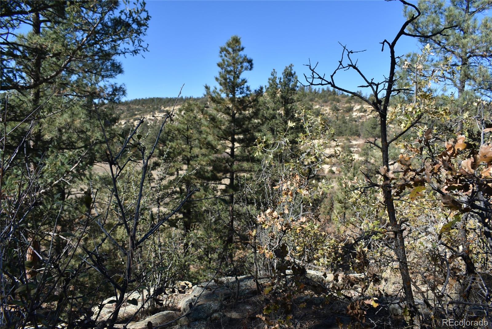 268-269 Rancho La Weston, CO 81091 - Photo 12 of 29 a view of a tree in a yard