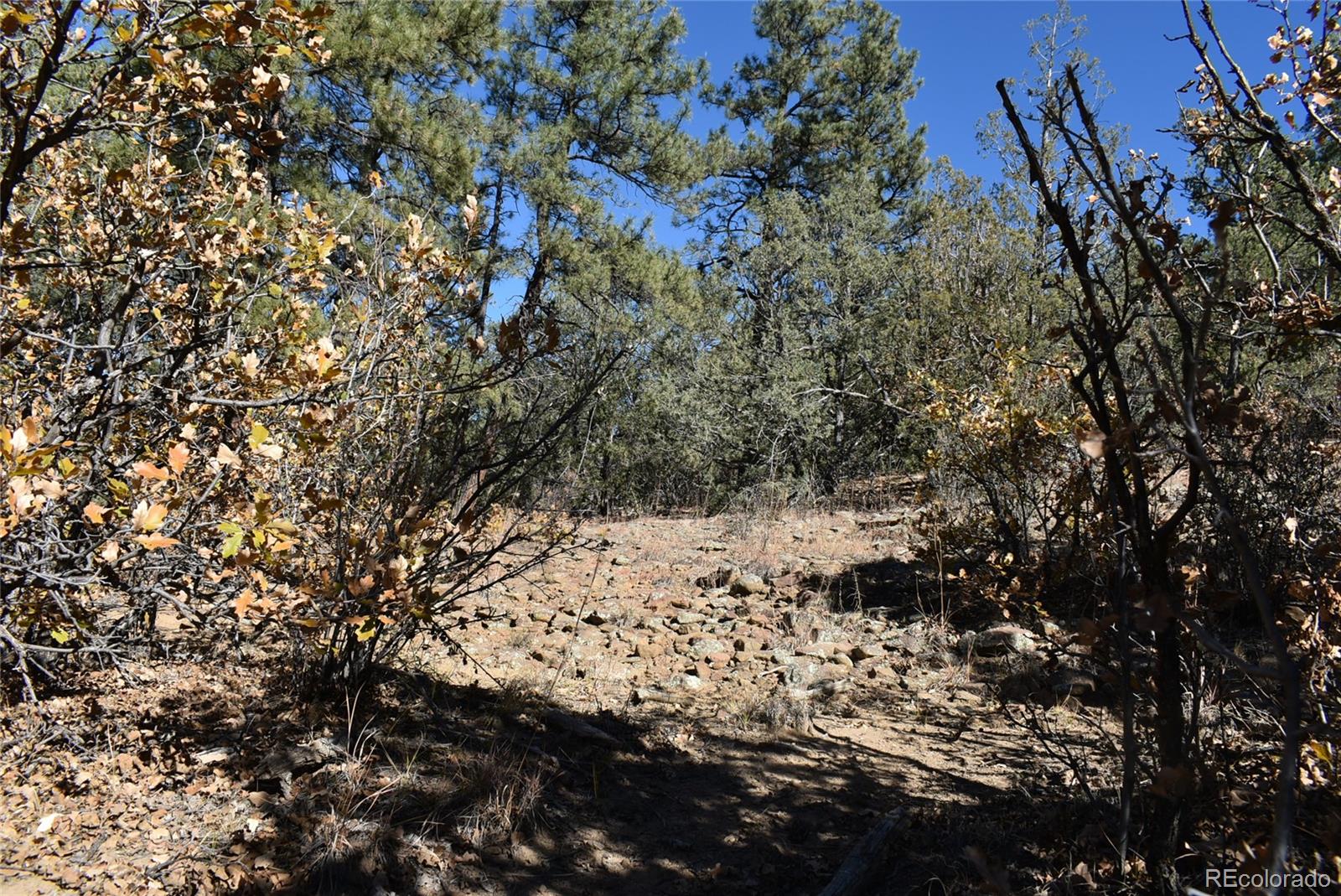 268-269 Rancho La Weston, CO 81091 - Photo 14 of 29 a view of a yard with lots of bushes