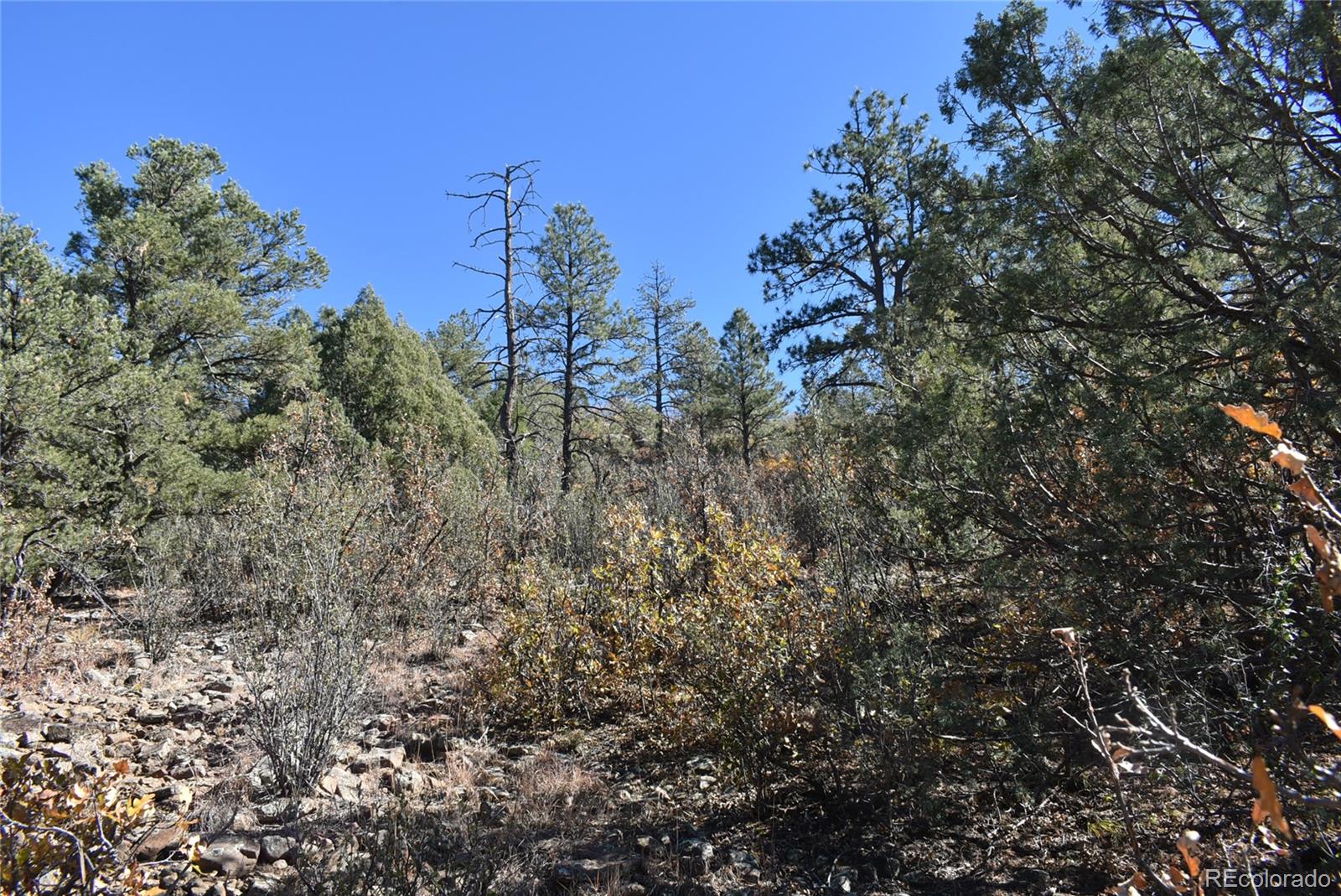 268-269 Rancho La Weston, CO 81091 - Photo 15 of 29 a view of a city with lush green forest