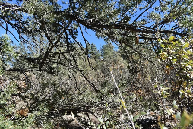 a view of a outdoor space