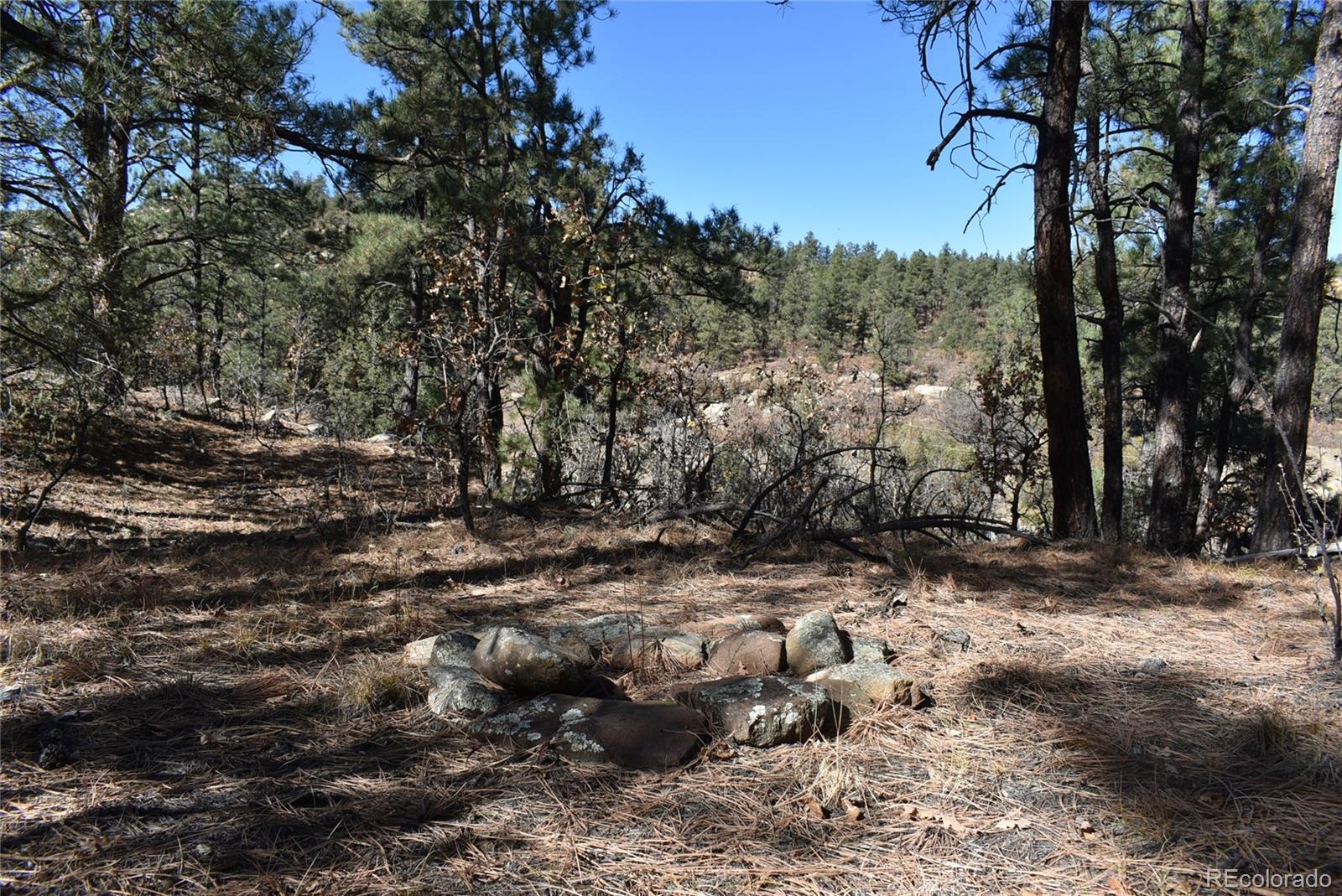 268-269 Rancho La Weston, CO 81091 - Photo 22 of 29 a view of a forest with trees