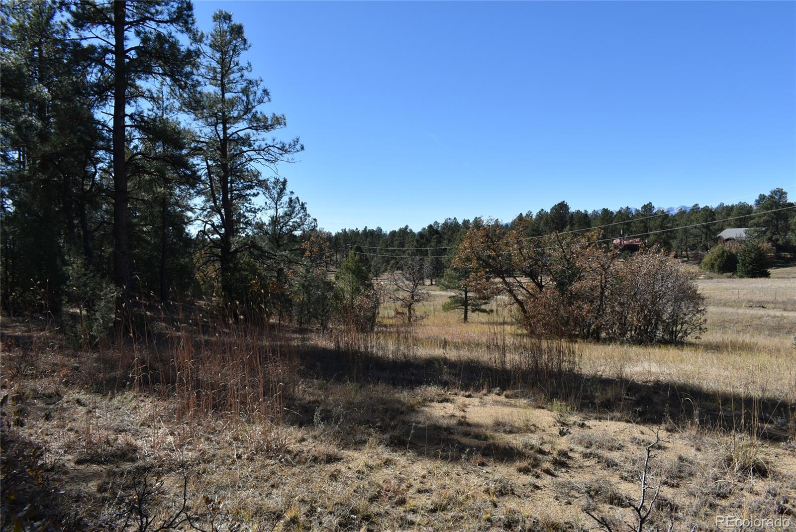 268-269 Rancho La Weston, CO 81091 - Photo 24 of 29 a view of a lake view with lots of trees